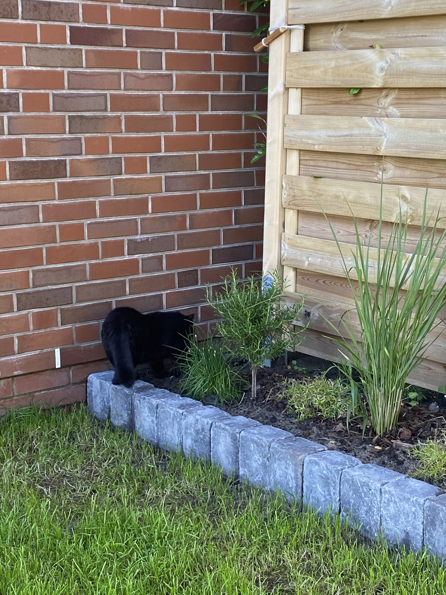 Ausbesserungen im Garten