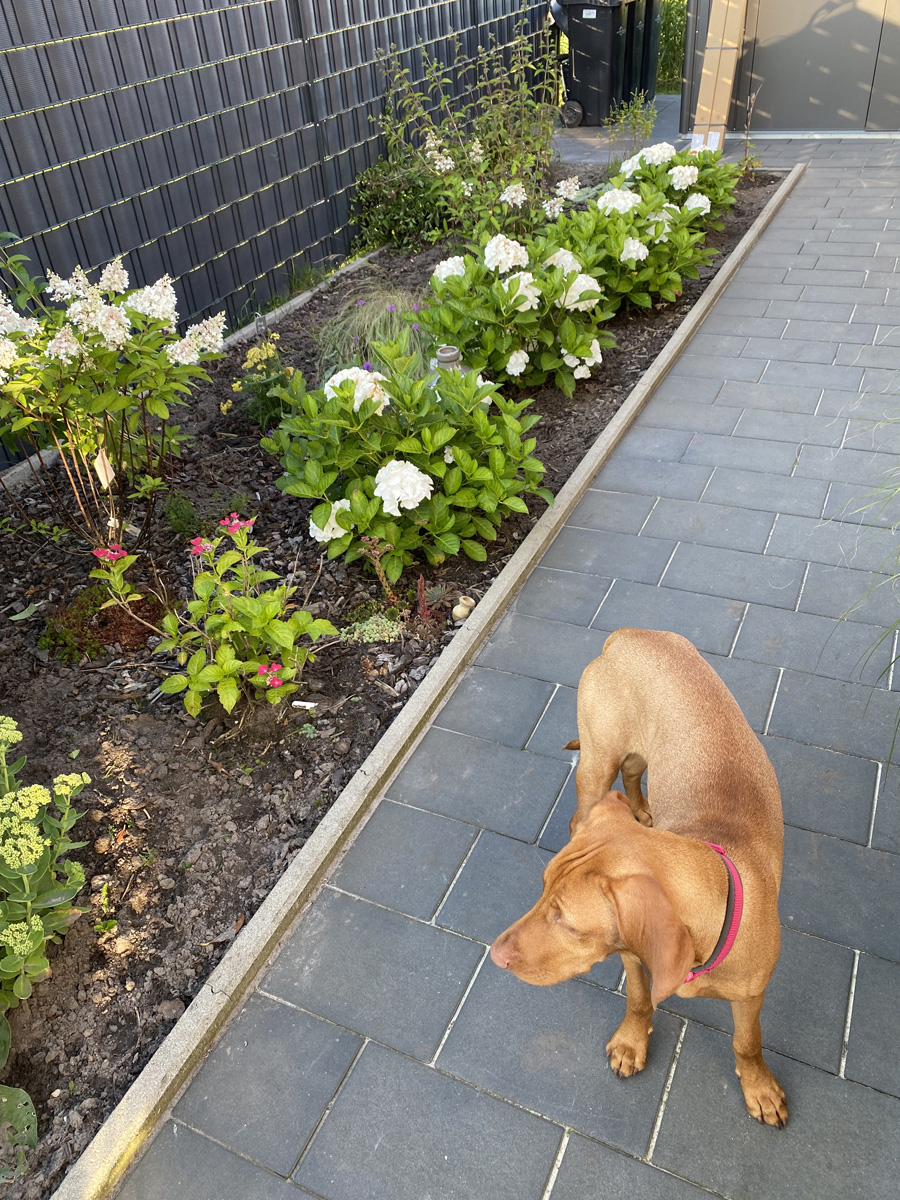 Ausbesserungen im Garten